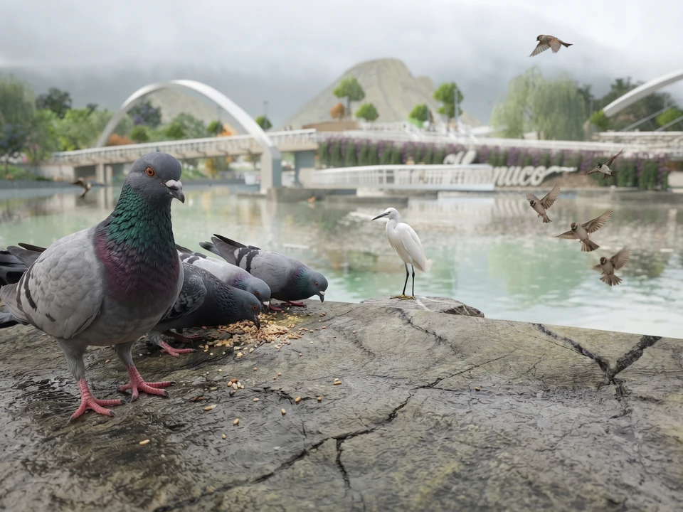 Palomas comen granos sobre una roca junto a la laguna; cerca, una garza blanca y gorriones en vuelo; al fondo, puentes de arco y un letrero con el nombre de Huánuco.